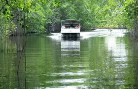 Private Black River & YS Falls Tour