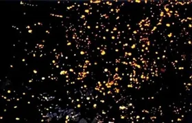 Puerto Princesa Fireflies Watching with Dinner