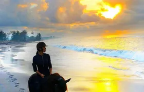 Bali horse riding experience and coffe plantation visit
