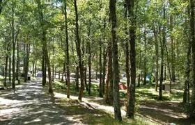 Tree and Slide Adventure in Lamas de Mouro at PNPG