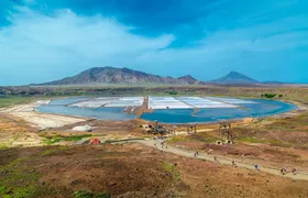 Adults-only tour of Sal with lunch and Salt Lake visit