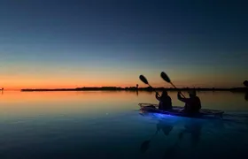 Shell Key Clear Kayak Sunset & Glow Tours 