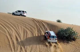 Full-Day Safari Small Desert With Lunch