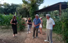 Ostuni DOC winetour and tasting.