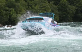Niagara River Freedom boat tour with American Departure