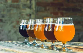 Lublin: Private Polish Beer Tasting Tour