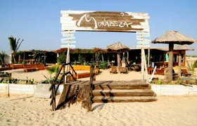 Boa Vista beachside sunset dinner with live music experience