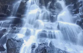 Trekking and Tegallalang Rice Terace Field Including Waterfall Ubud Tour