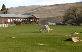 Estancia 25 de Mayo Tour with Dinner and Transfer
