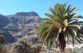 Full Day Across the Island Tour from Las Palmas