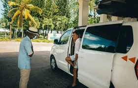 Private Airport Punta Cana to La Romana Bayahibe or Casa de Campo Resort Area