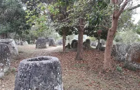 Plain of jars tour with local guide