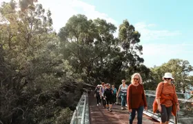 Guided Hike of the highlights of Kings Park