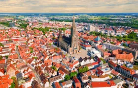 The five gilded sparrows in Ulm city exploration game