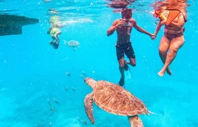 São Vicente: Snorkel Experience with Sea Turtle