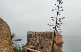 Berlenga island trip, glass-bottom boat cave tour and guided walk