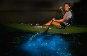 Bioluminescence Kayak Tour