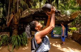 Vallée de Mai and Anse Lazio tour by bus