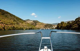 Douro River Cruise - Private River Cruise - Pinhão 1 Hour