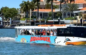 Aquaduck Sunshine Coast 1-hour city tour and river cruise