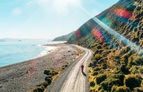 4-Hour Mountain Bike Hire in Pencarrow