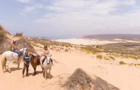 Discover Carrapateira horse riding tour