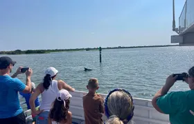 Dolphin and Wildlife Adventure of St. Augustine