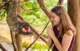 West bay beach & wildlife tour