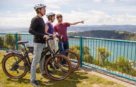 Guided Wellington Tour by Electric Bike