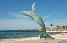 Product Title: A Full-Day Baja Adventure: La Paz, Balandra Beach & Todos Santos