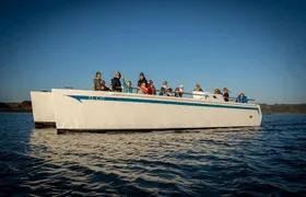 Elkhorn Slough Wildlife Tour