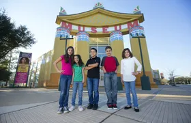 1-day or 3-day Houston Museum pass