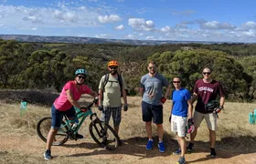 Full-day McLaren Vale bike and wine tour