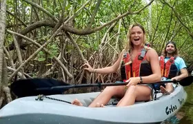 Mangrove Tunnels, Dolphins, Manatee Tour #1 Rated in Cocoa Beach