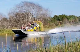 90 minute Everglades Airboat Tour near Orlando Florida