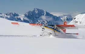 Glacier highlights ski plane scenic flight