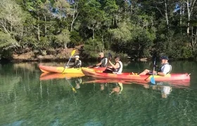 Brunswick River nature kayak tour