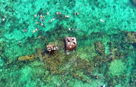 Roatan 3 Stop Snorkeling Adventure, Shipwreck, Starfish & Blue Channel