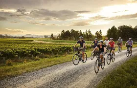 Self-Guided Biking Wine Tour (full day) in the Marlborough Region.