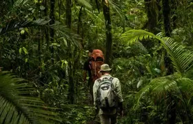 Sulawesi Tangkoko National Park Private Tour