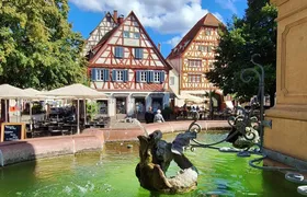 Lorsch Abbey and Ladenburg medieval heritage half-day tour