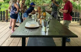 Costa Rica flavours and nature experience