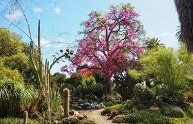 Ruth Bancroft Garden General Admission Ticket