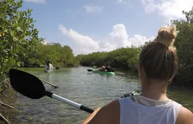Lac Cai glass-bottom kayak and snorkel mangrove experience