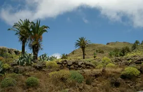 Hike to La Fortaleza