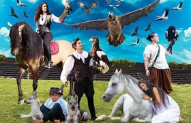 Skip the Line: Falconeria Locarno Ticket