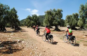 Bike oil tour in Monopoli