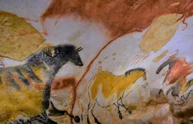 Daily shared tour of the Paleolithic art of Dordogne