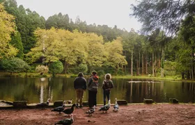 From Angra: Terceira Island Full-Day Tour (Private)