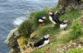 Shetland South Mainland Tour St Ninian Isle and Jarlshof